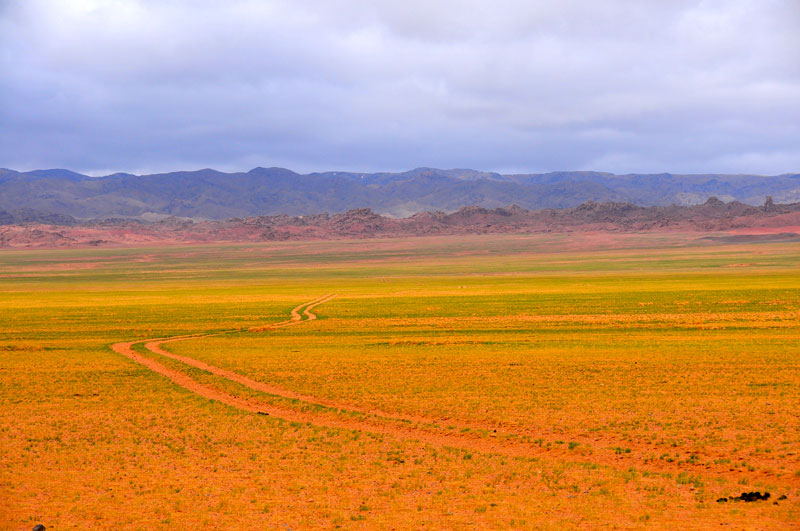 Mongolie